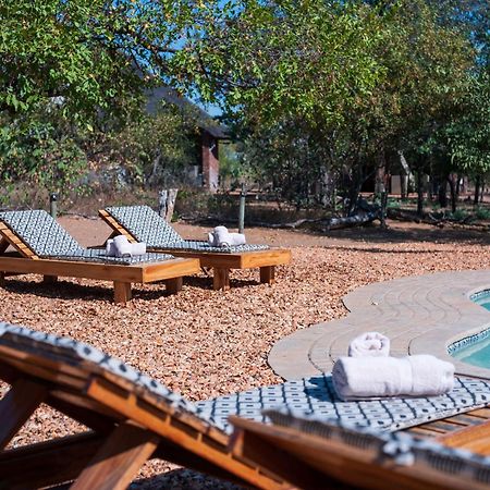 Masorini Bush Lodge & Safari Tents بهالابوروا المظهر الخارجي الصورة