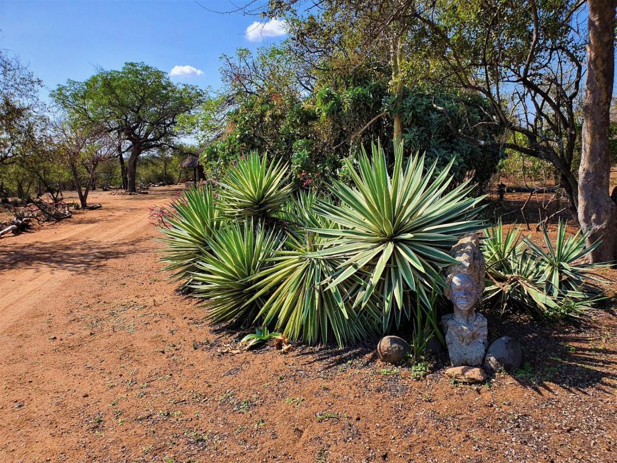 Masorini Bush Lodge & Safari Tents بهالابوروا المظهر الخارجي الصورة