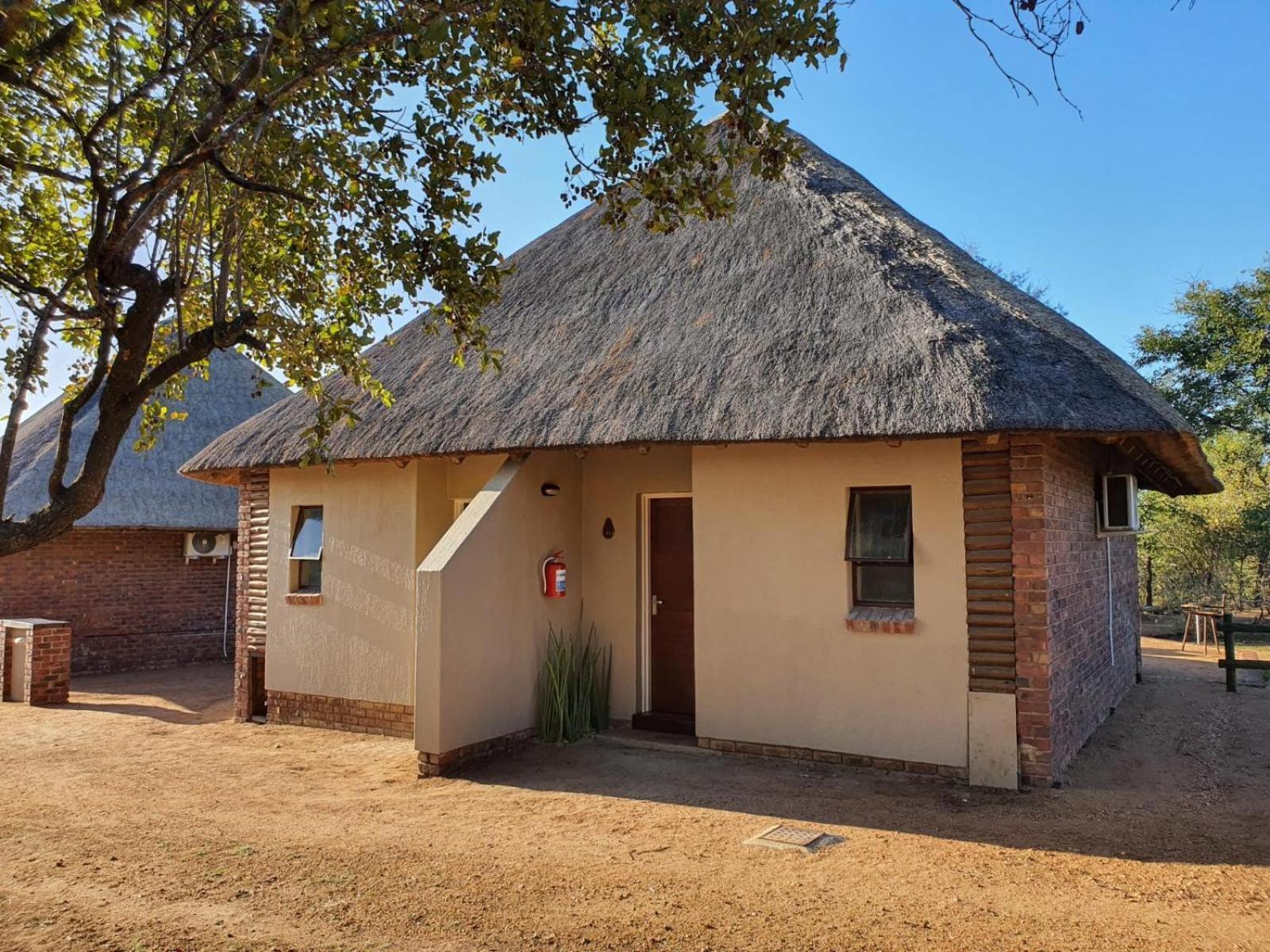 Masorini Bush Lodge & Safari Tents بهالابوروا الغرفة الصورة