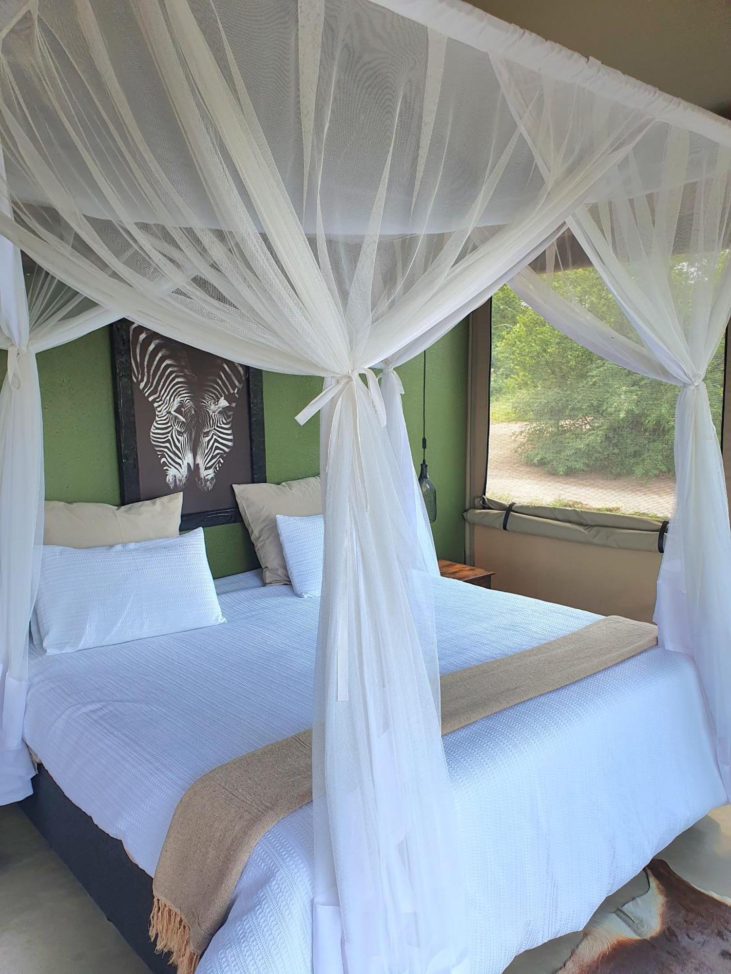 Masorini Bush Lodge & Safari Tents بهالابوروا المظهر الخارجي الصورة