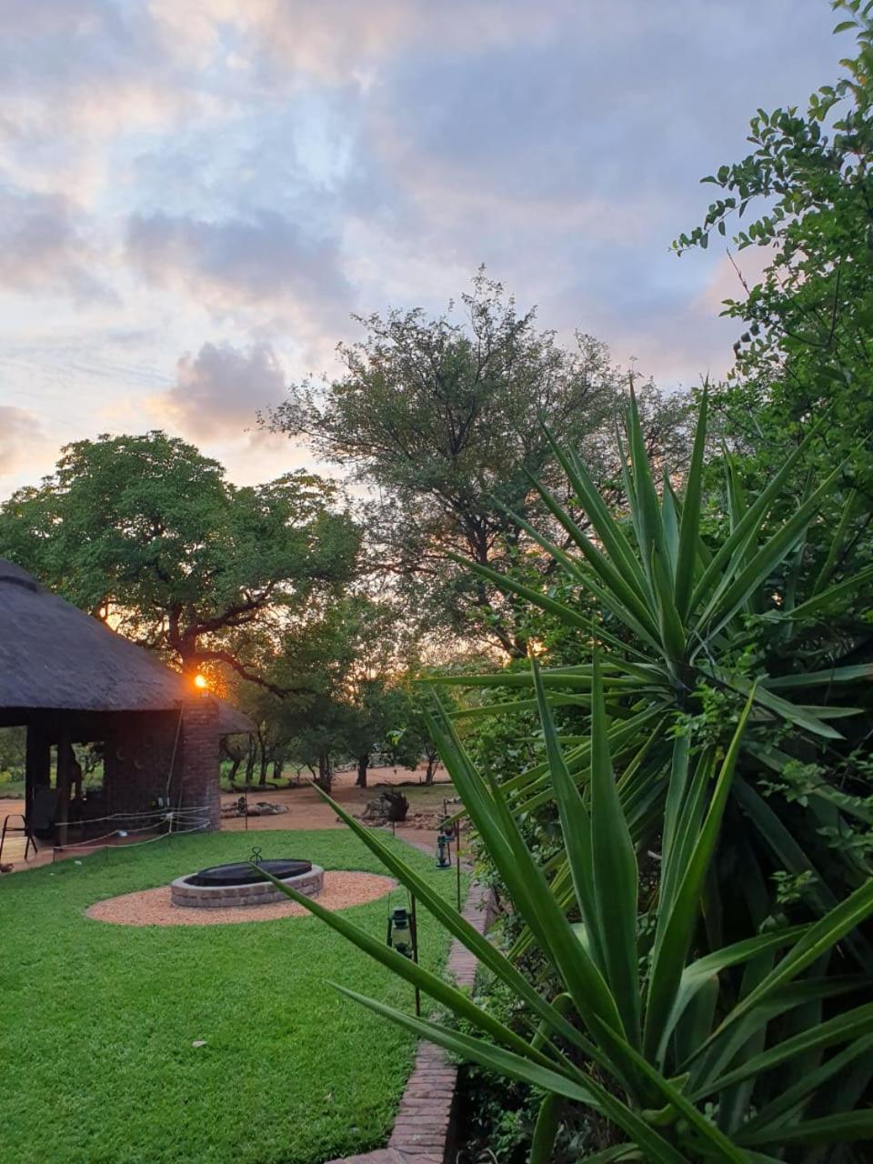 Masorini Bush Lodge & Safari Tents بهالابوروا المظهر الخارجي الصورة