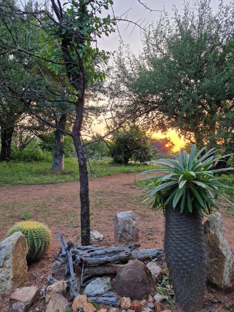Masorini Bush Lodge & Safari Tents بهالابوروا المظهر الخارجي الصورة