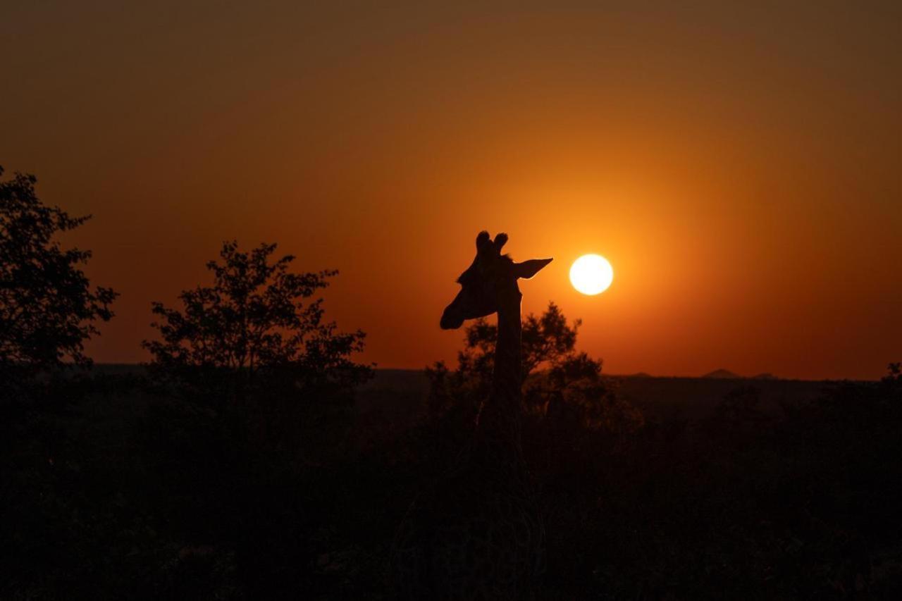 Masorini Bush Lodge & Safari Tents بهالابوروا المظهر الخارجي الصورة