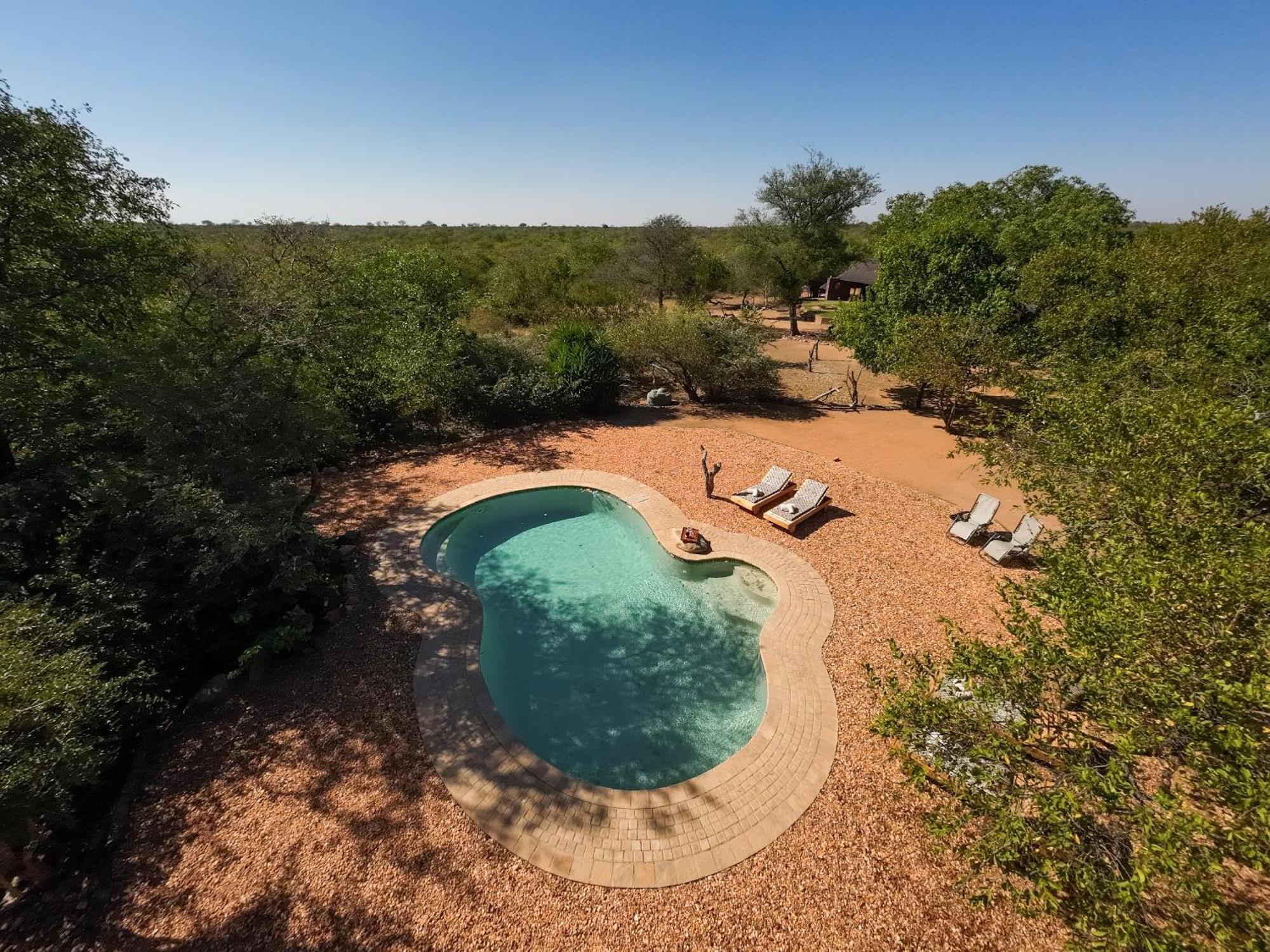 Masorini Bush Lodge & Safari Tents بهالابوروا المظهر الخارجي الصورة