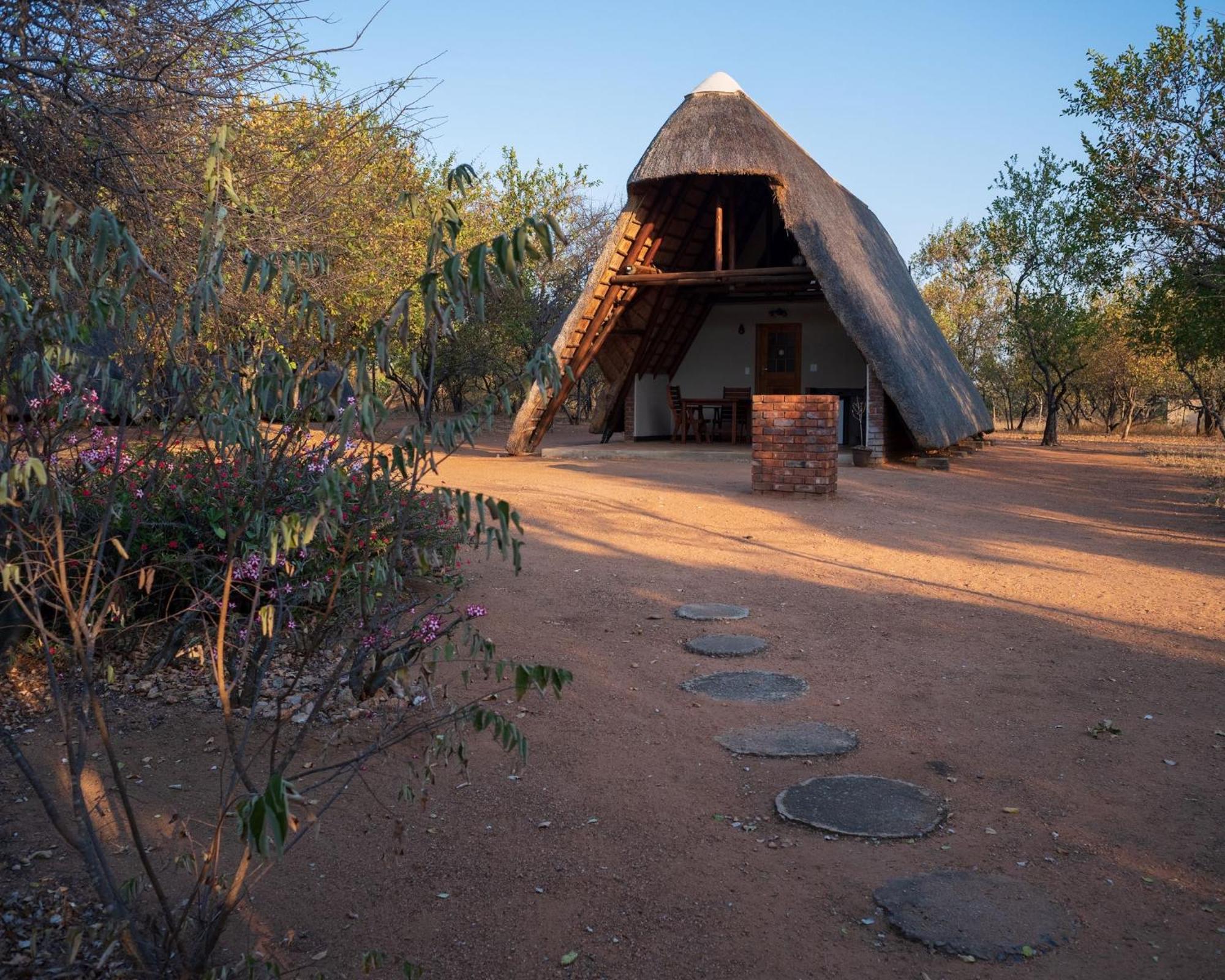 Masorini Bush Lodge & Safari Tents بهالابوروا المظهر الخارجي الصورة