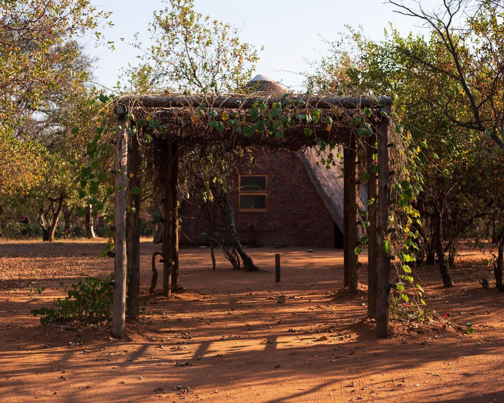 Masorini Bush Lodge & Safari Tents بهالابوروا المظهر الخارجي الصورة